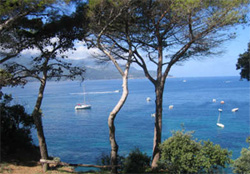 mare pinets.jpg